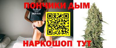 спиды Заводоуковск
