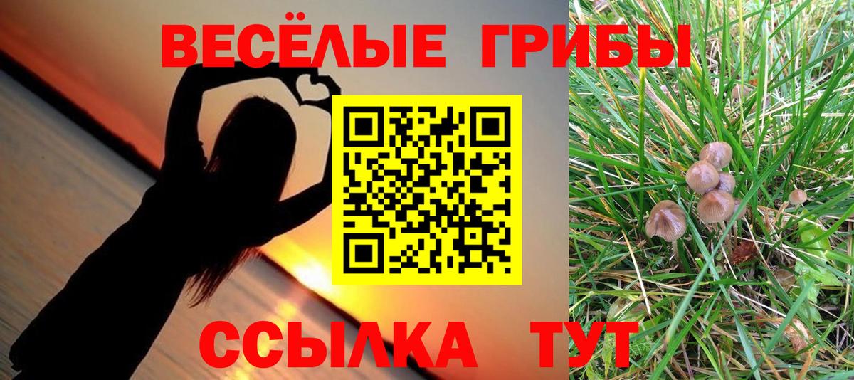 Псилоцибиновые грибы Magic Shrooms  Вход с VPN  Магадан  Галлюциногенные грибы Psilocybe 